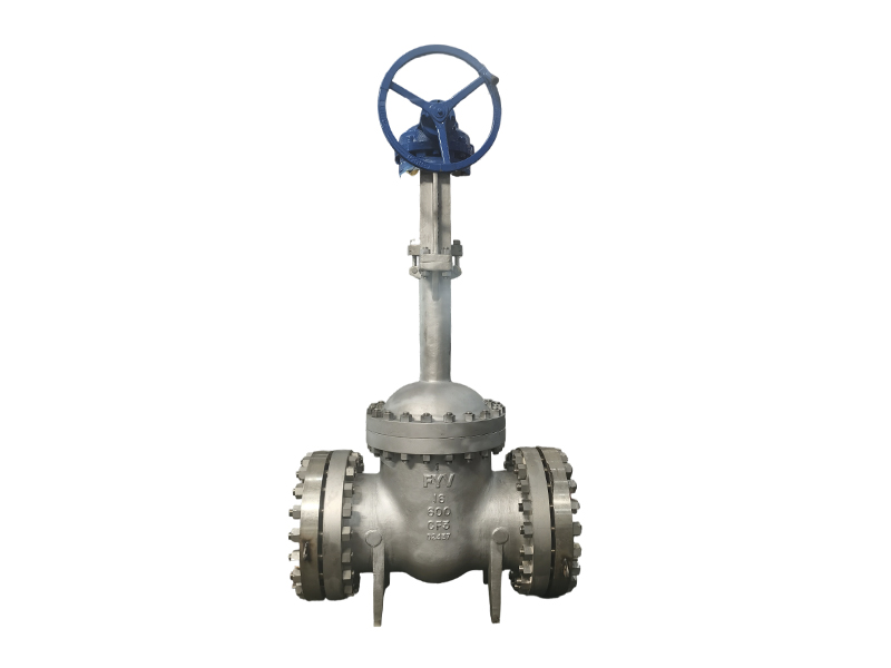 Cryogenic Gate Valve