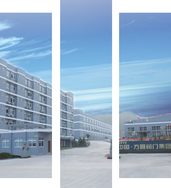 Fangyuan Valve Group Co., Ltd.
